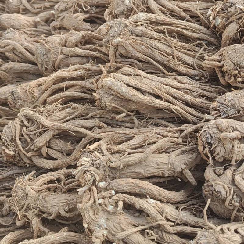 当归**24小时在线服务全国供应***健康放心购