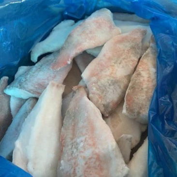 太平洋红鱼片，食堂，饭店，宠物
