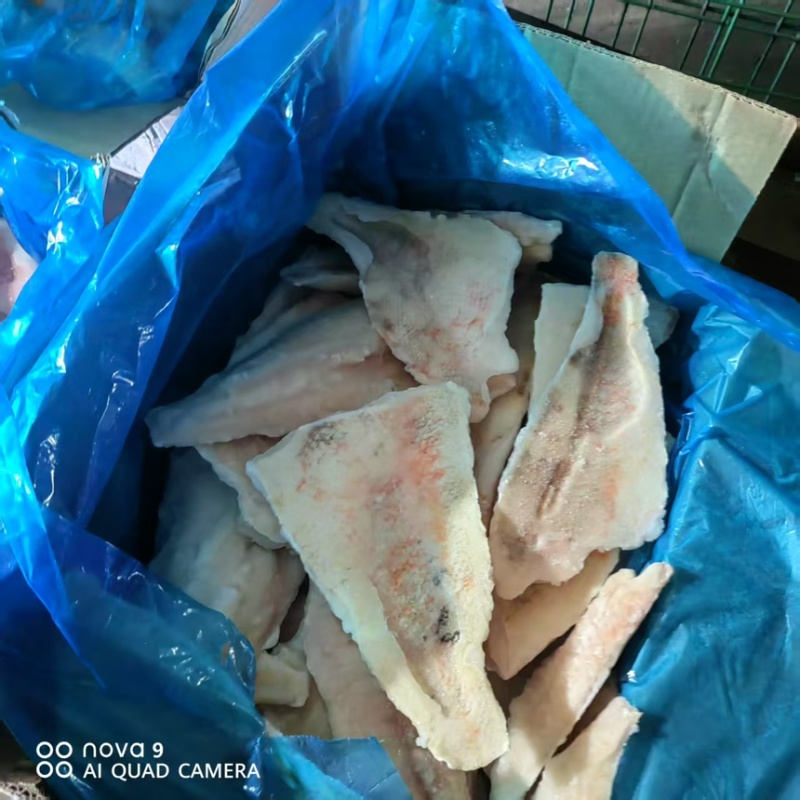太平洋红鱼片，食堂，饭店，宠物