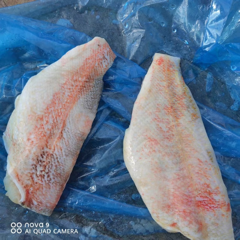太平洋红鱼片，食堂，饭店，宠物