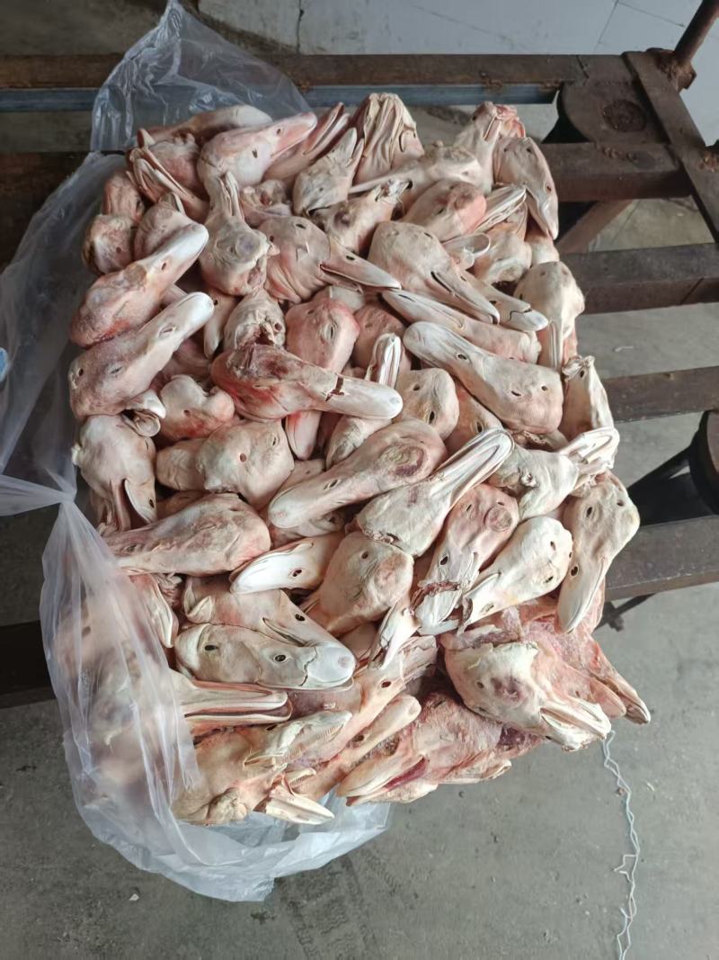 大板鸭头6吨