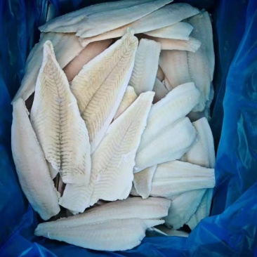 黄金鲽鱼片，鲽鱼片，宠物食品，食堂，酒店。