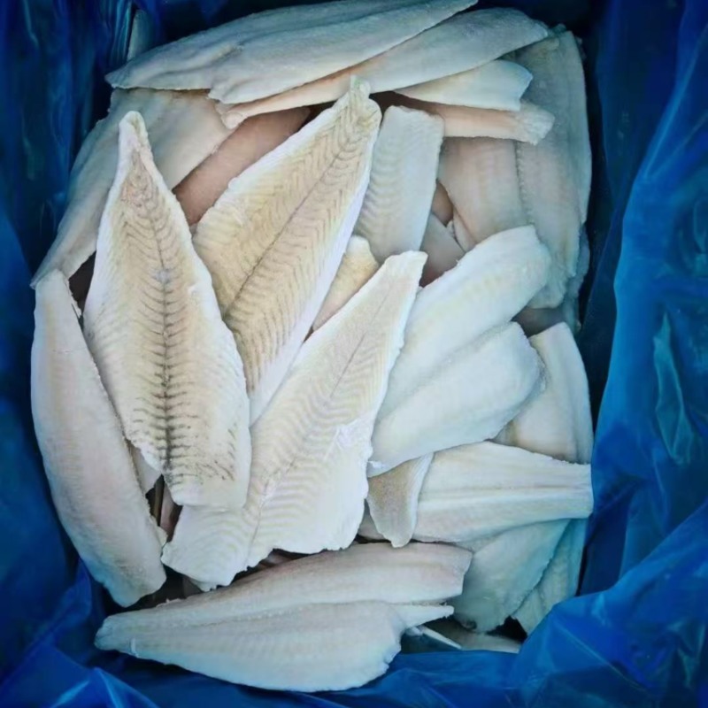 黄金鲽鱼片，鲽鱼片，宠物食品，食堂，酒店。
