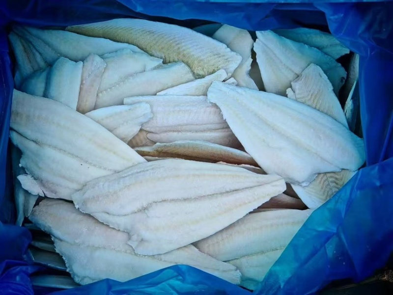 黄金鲽鱼片，鲽鱼片，宠物食品，食堂，酒店。