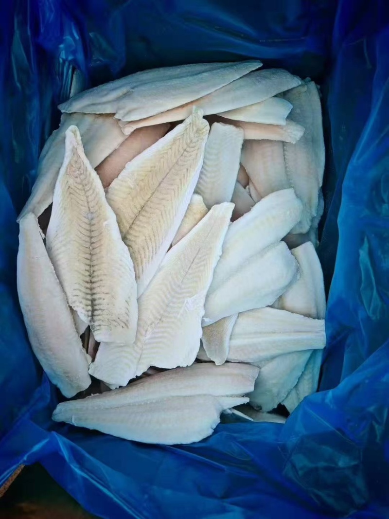 黄金鲽鱼片，鲽鱼片，宠物食品，食堂，酒店。