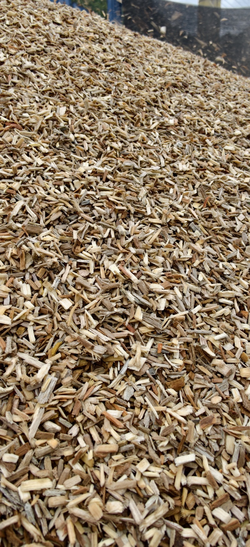 硬杂木木屑