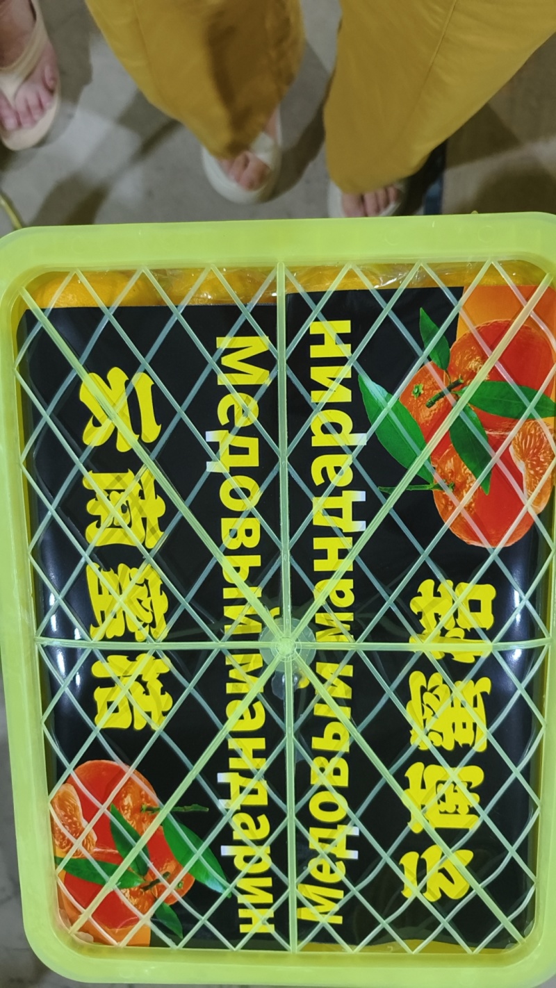 蜜桔带叶桔自产自销一手货源对接电商团购出口外贸