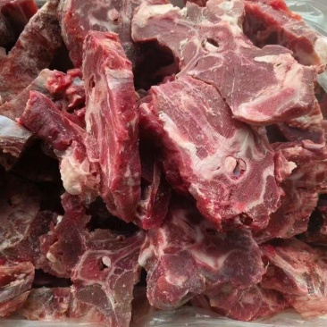 满肉羊蝎子