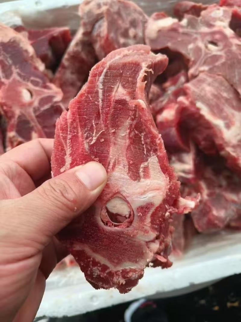满肉羊蝎子