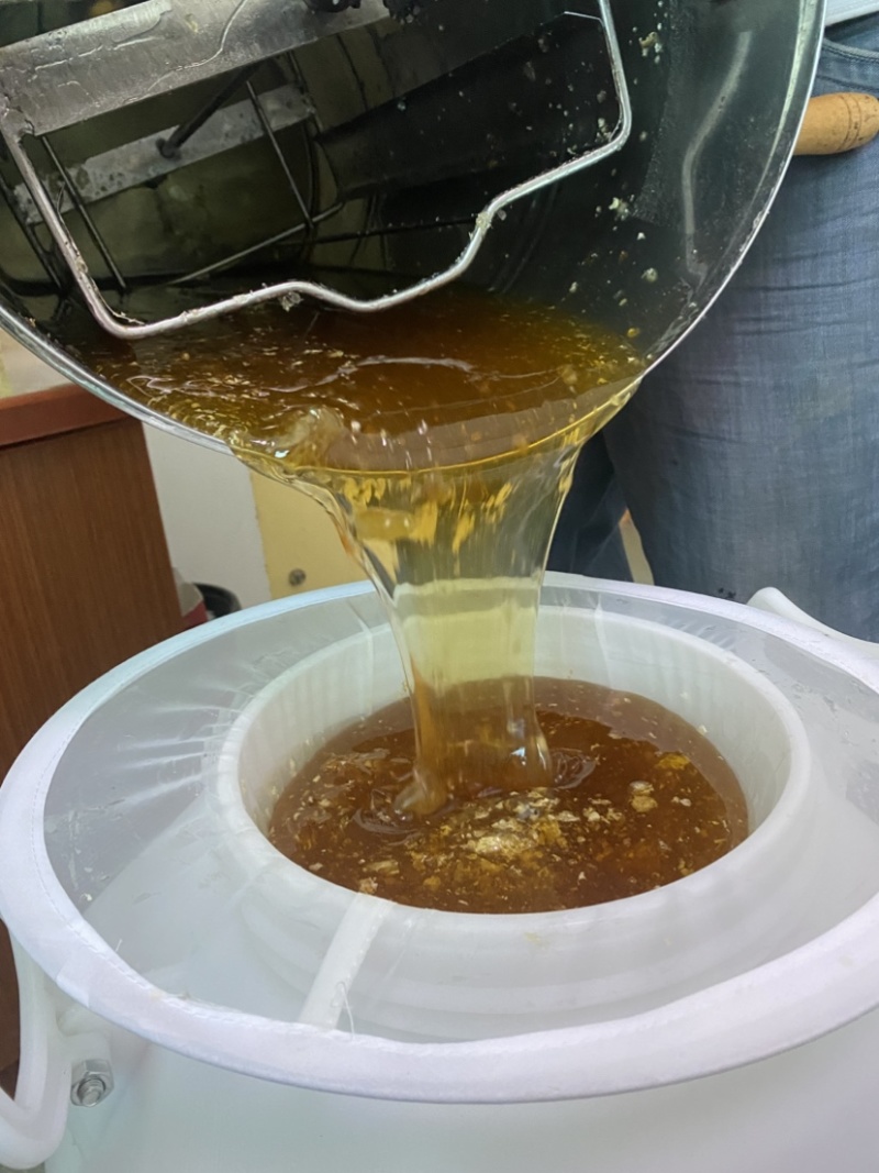 封盖成熟土蜂蜜