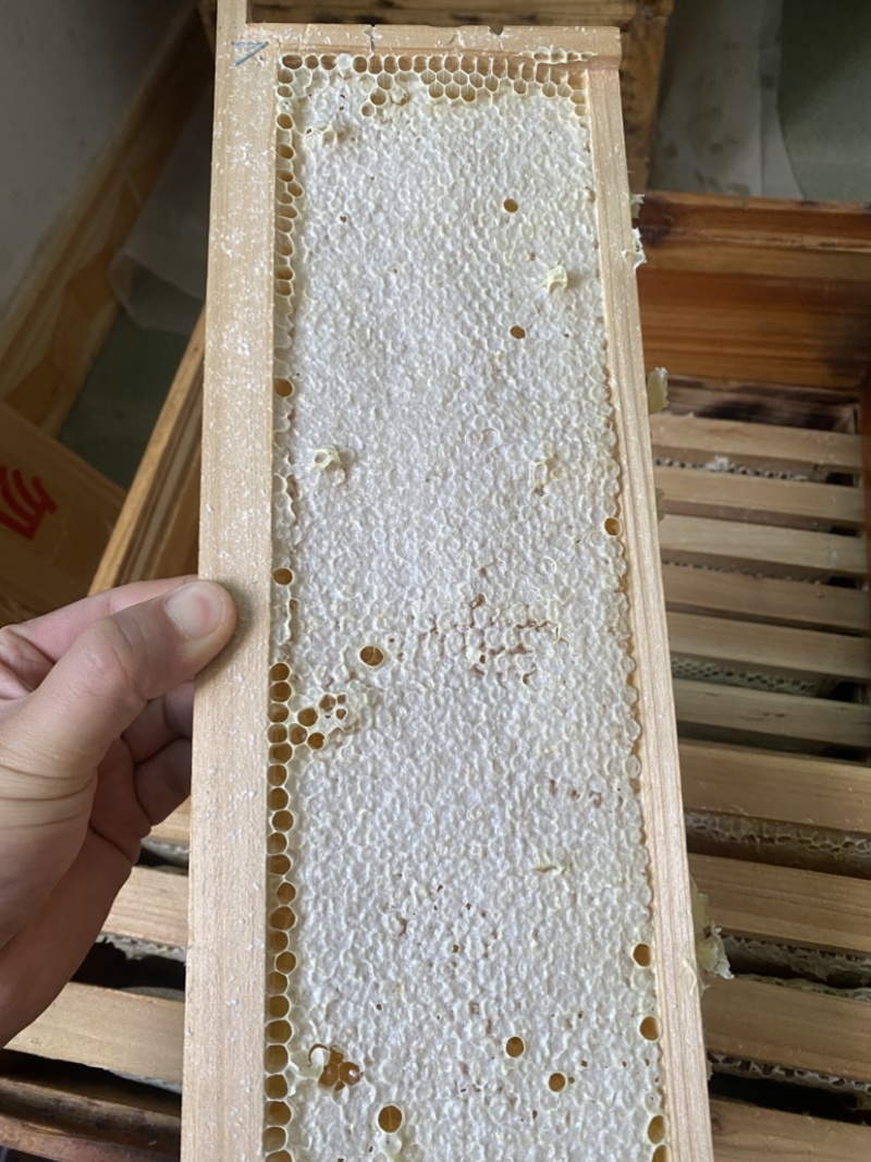 封盖成熟土蜂蜜