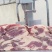 阿根廷1352厂牛碎肉70比例