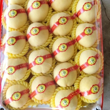 黄毛桃