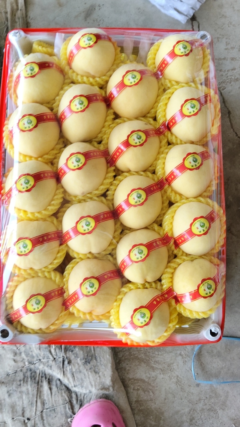黄毛桃