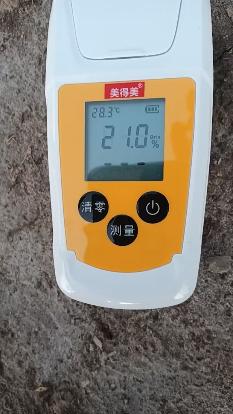 喀什西梅，20克起步往上不封顶，2公斤3，仅售29元
