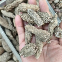 郁金
