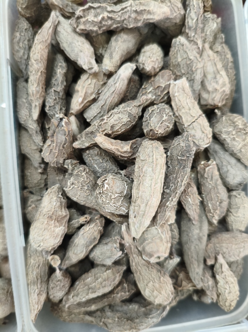 郁金