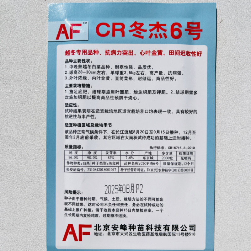 优质金凤凰白菜CR冬杰6号大白菜种子中晚熟黄心大白菜种子