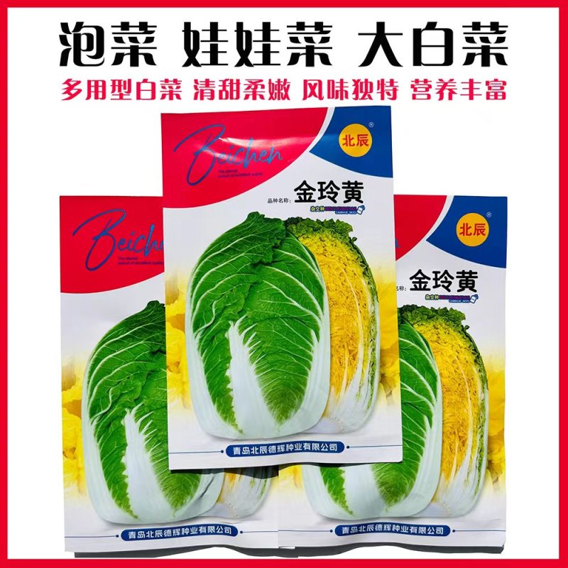 优质金凤凰白菜CR冬杰6号大白菜种子中晚熟黄心大白菜种子