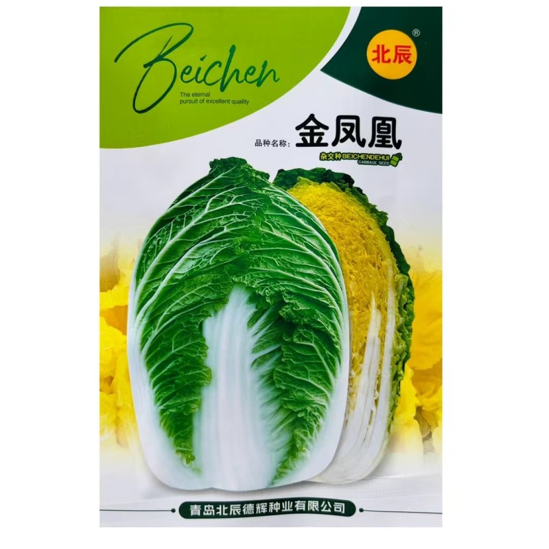 优质金凤凰白菜CR冬杰6号大白菜种子中晚熟黄心大白菜种子