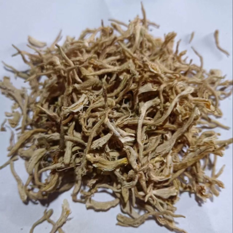 北花一号金银花量大质优价格优惠一手货源支持视频看货