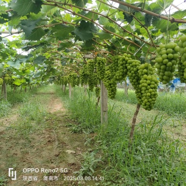 陕西省渭南市合阳县
