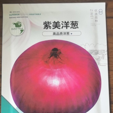 红皮洋葱种子早熟高产蔬菜种子10克耐寒蔬菜