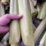 美人茭大量批发走货对接商场超市批发市场等各种规格各种货品