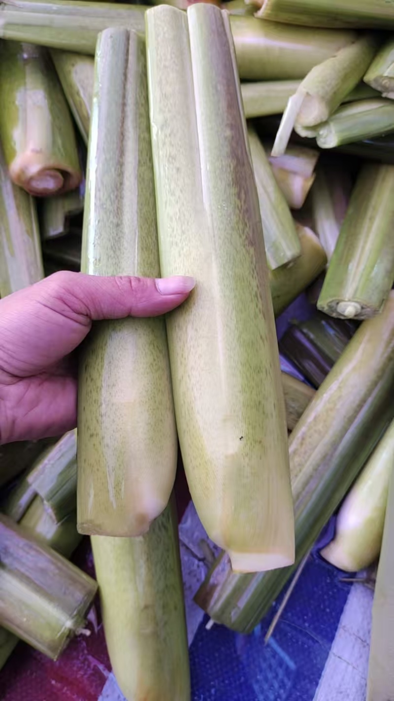 美人茭大量批发走货对接商场超市批发市场等各种规格各种货品