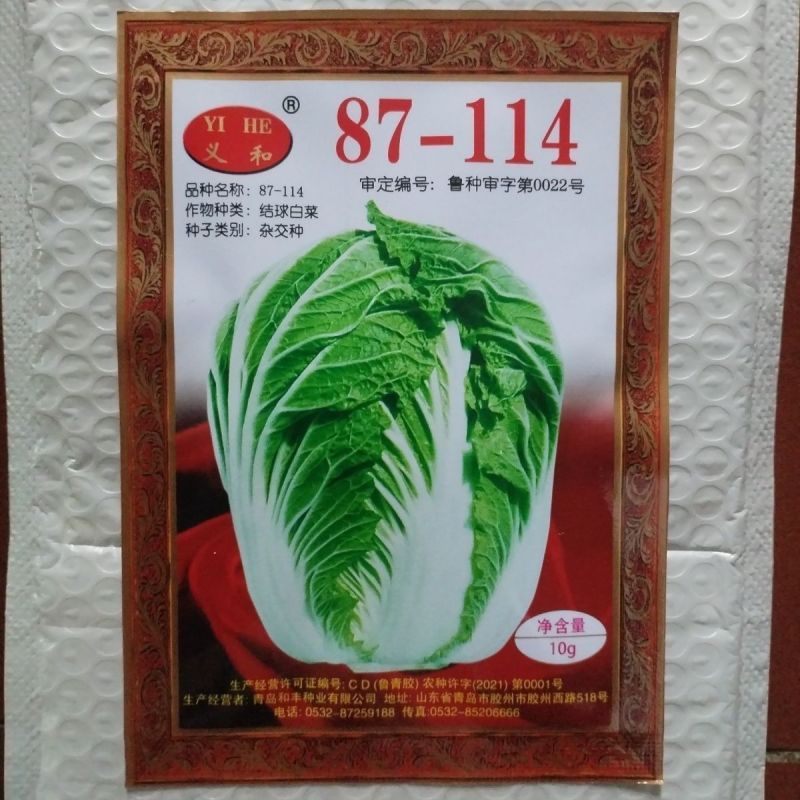 义和87114大白菜种子山东大白菜种籽抗病冬储秋季大白菜