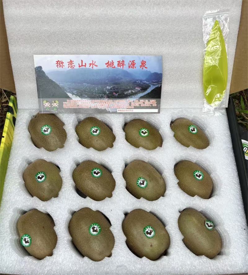《猕猴桃》专业一件代发！对接各大电商平台！一件代发无需囤