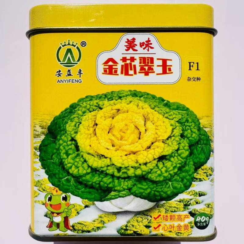 杂交一代黄心乌場菜种子叶片近圆形奶油黄心乌种子