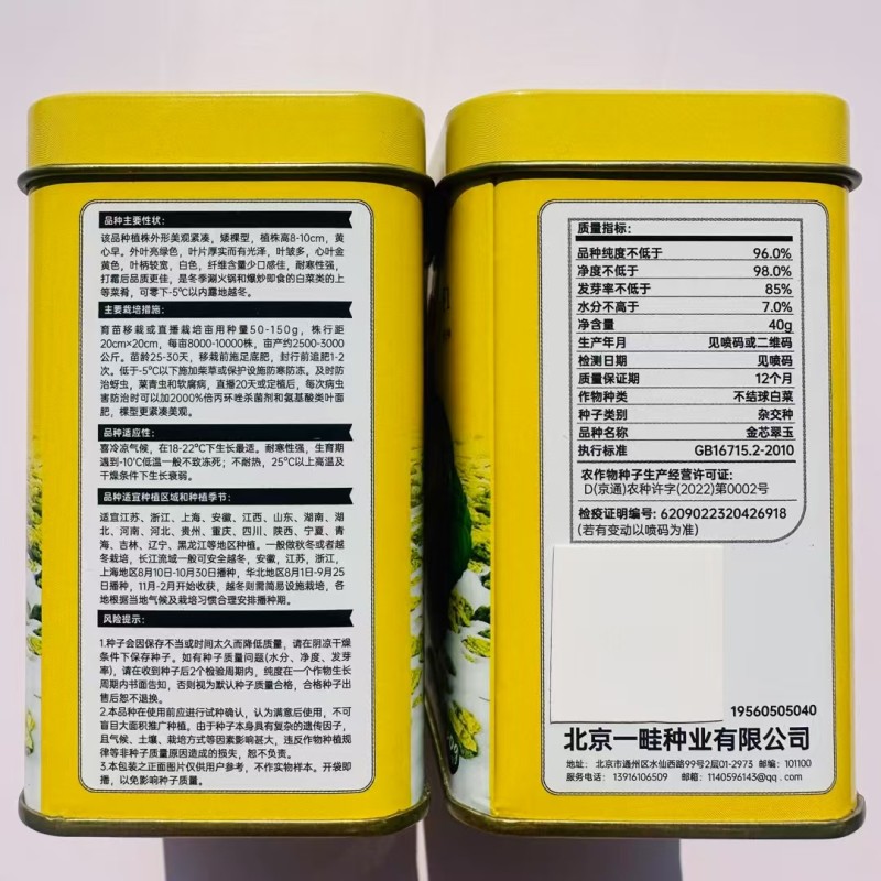 杂交一代黄心乌場菜种子叶片近圆形奶油黄心乌种子
