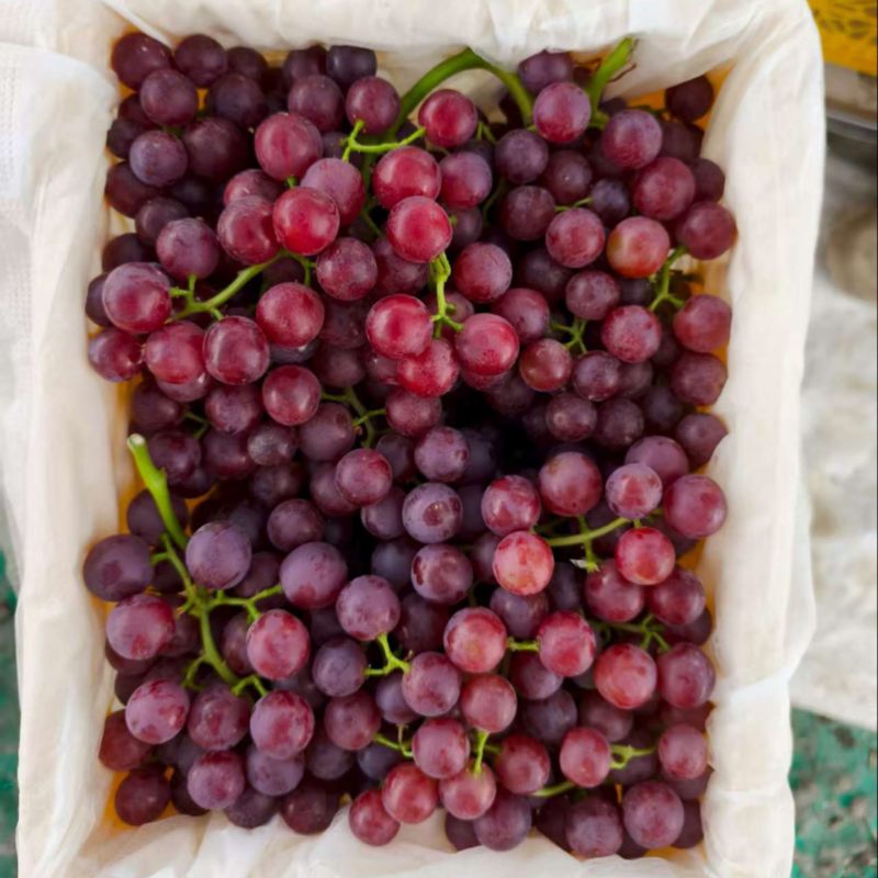 新疆玻璃脆葡萄🍇