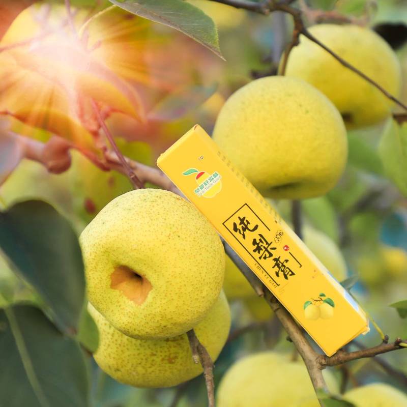 砀山纯梨膏厂家供应量大从优质量保证诚信经营欢迎咨询