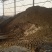 新兴县大量长期供应奶牛粪，品质优