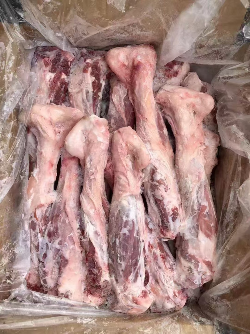 大羊前腱