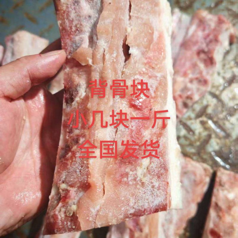 背骨段