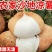 贵州凉薯大量上市中，一件代发，对接商超市场电商社区团购