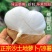 贵州凉薯大量上市中，一件代发，对接商超市场电商社区团购