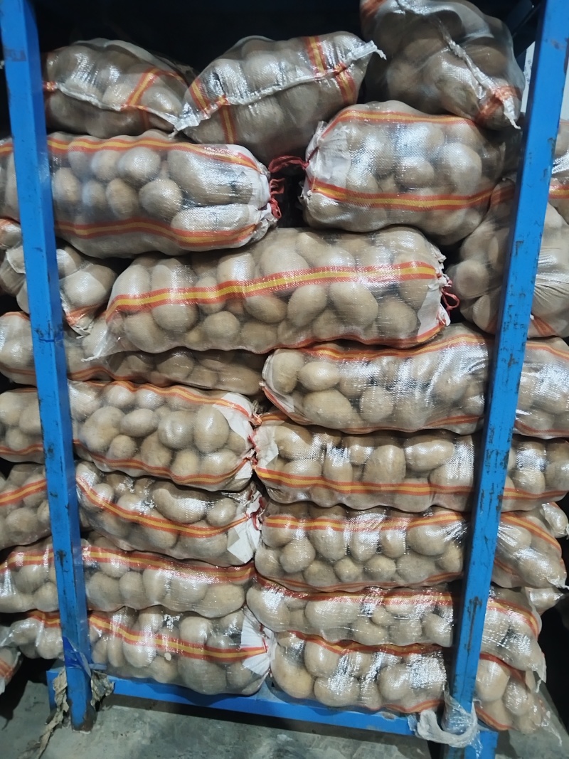 三两以上二到四精品土豆，品质好