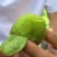 眉县徐香猕猴桃