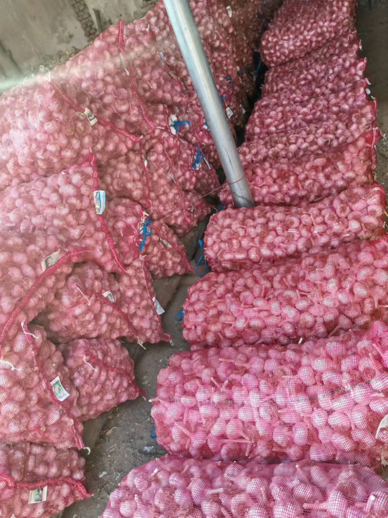 蒜，大蒜，蒜米大量供应，一手货源，规格齐全，河北产地