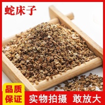 蛇床子无杂质干净质量保证大籽选货质量保证……