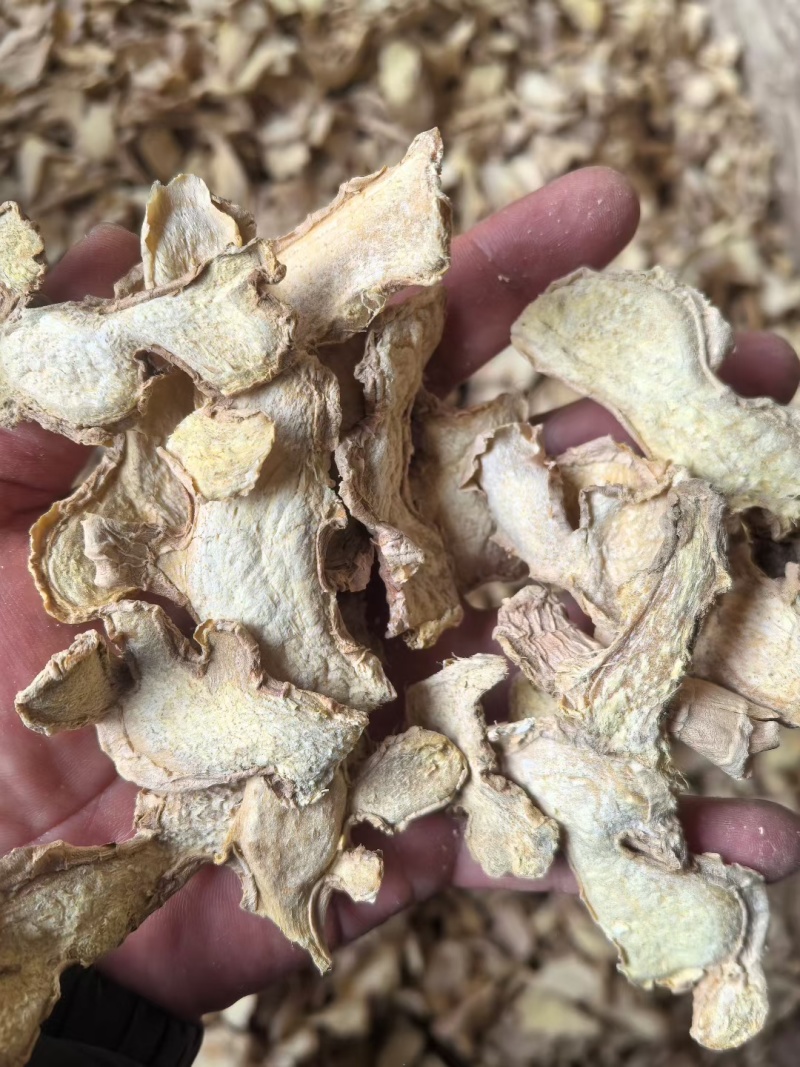 山东优质小黄姜片，大黄姜片，货量充足诚信经营致电联系
