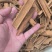 桂皮精品桂皮烟桂新货质量保证规格齐全量大从优