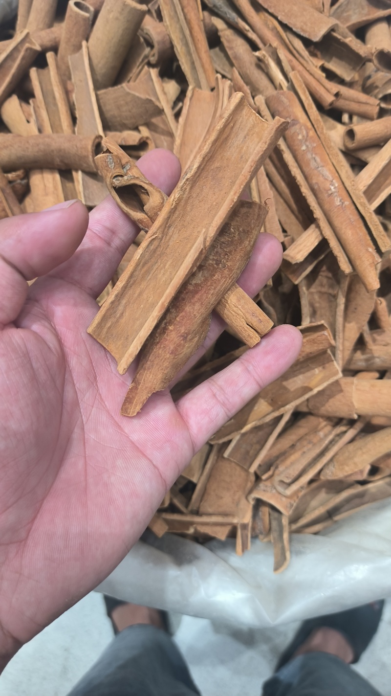 桂皮精品桂皮烟桂新货质量保证规格齐全量大从优