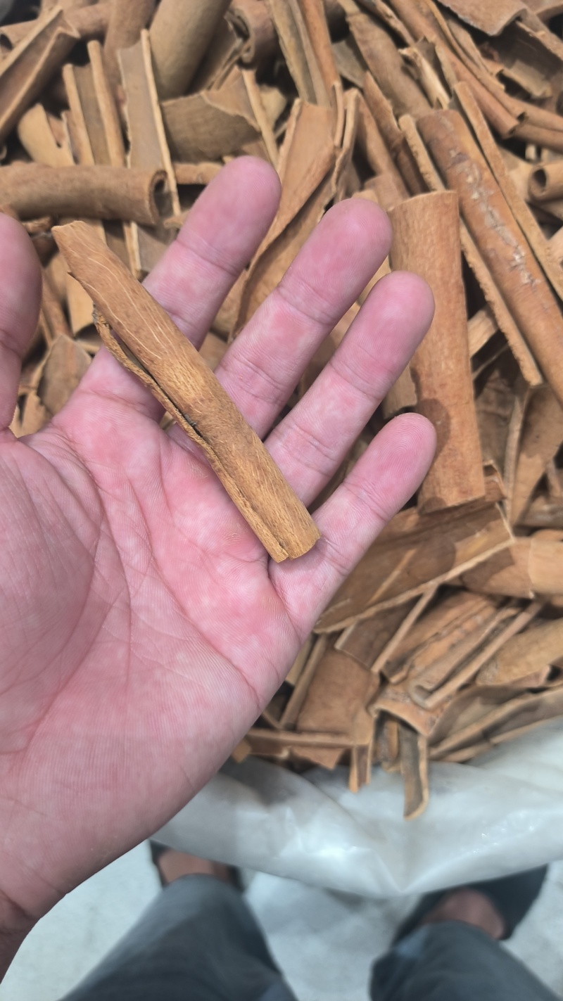 桂皮精品桂皮烟桂新货质量保证规格齐全量大从优