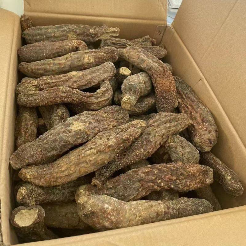 新疆和田肉苁蓉一手货