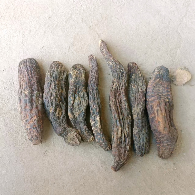 新疆和田肉苁蓉一手货